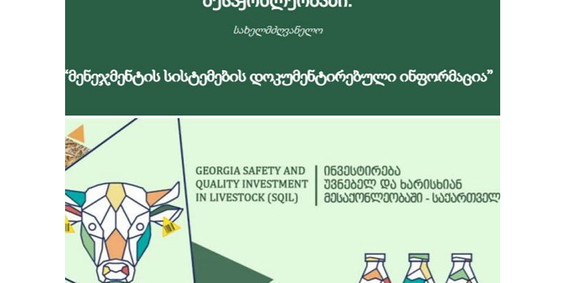 მენეჯმენტის სისტემის დოკუმენტირებული ინფორმაცია