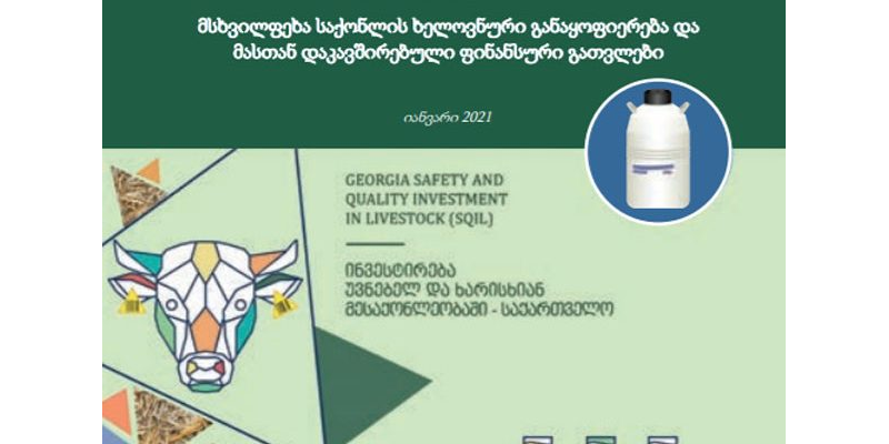 მსხვილფეხა საქონლის ხელოვნური განაყოფიერება და მასთან დაკავშირებული ფინანსური გათვლები